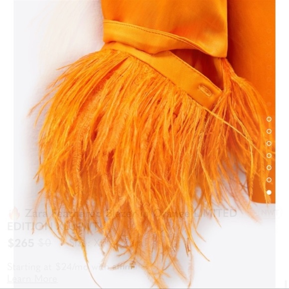 Zara Limited Edition Feathered Blazer Size M - Picture 17 of 17